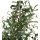 Kunstpflanze Kunstbaum OLIVE 120 cm